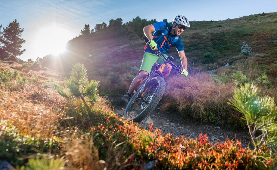 CONWAY BIKES - von SUV Pedelecs bis BIO Bikes Gravel 2024 Bild 1: CONWAY BIKES - von SUV Pedelecs bis BIO Bikes Gravel 2024