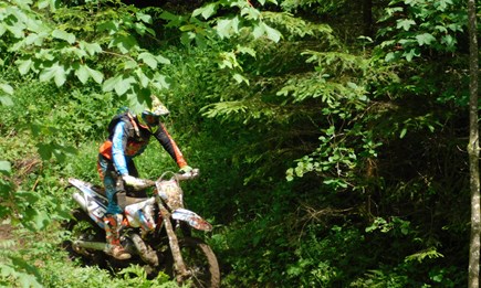 Kilian Zierer - Hackstockgraben