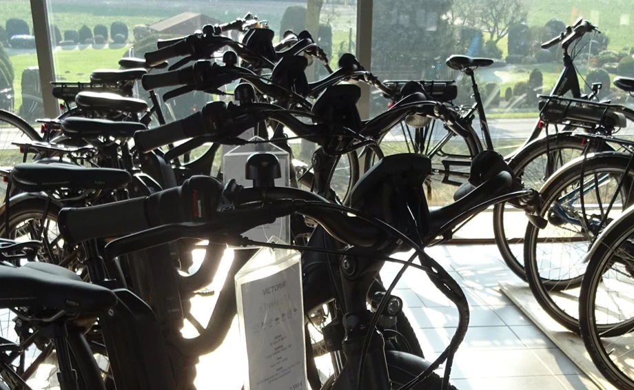 E-BIKES & PEDELECS Bild 1: E-BIKES & PEDELECS