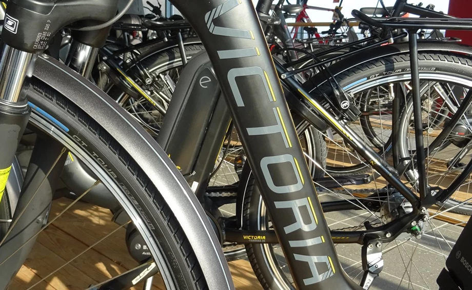 E-BIKES & PEDELECS Bild 2: E-BIKES & PEDELECS