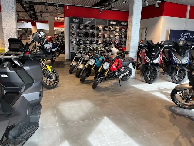 Honda Streifeneder Bild 5: Honda Streifeneder