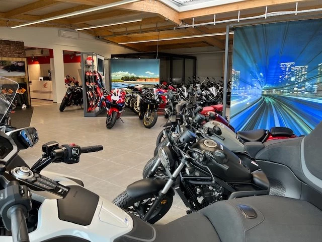 Honda Streifeneder Bild 7: Honda Streifeneder