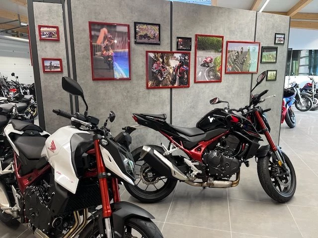 Honda Streifeneder Bild 11: Honda Streifeneder