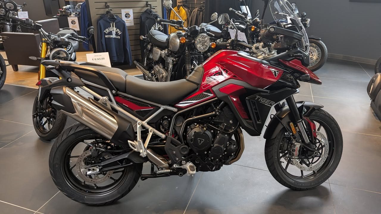 Vorschaubild für Post - Frisch eingetroffen: Tiger 900GT Pro