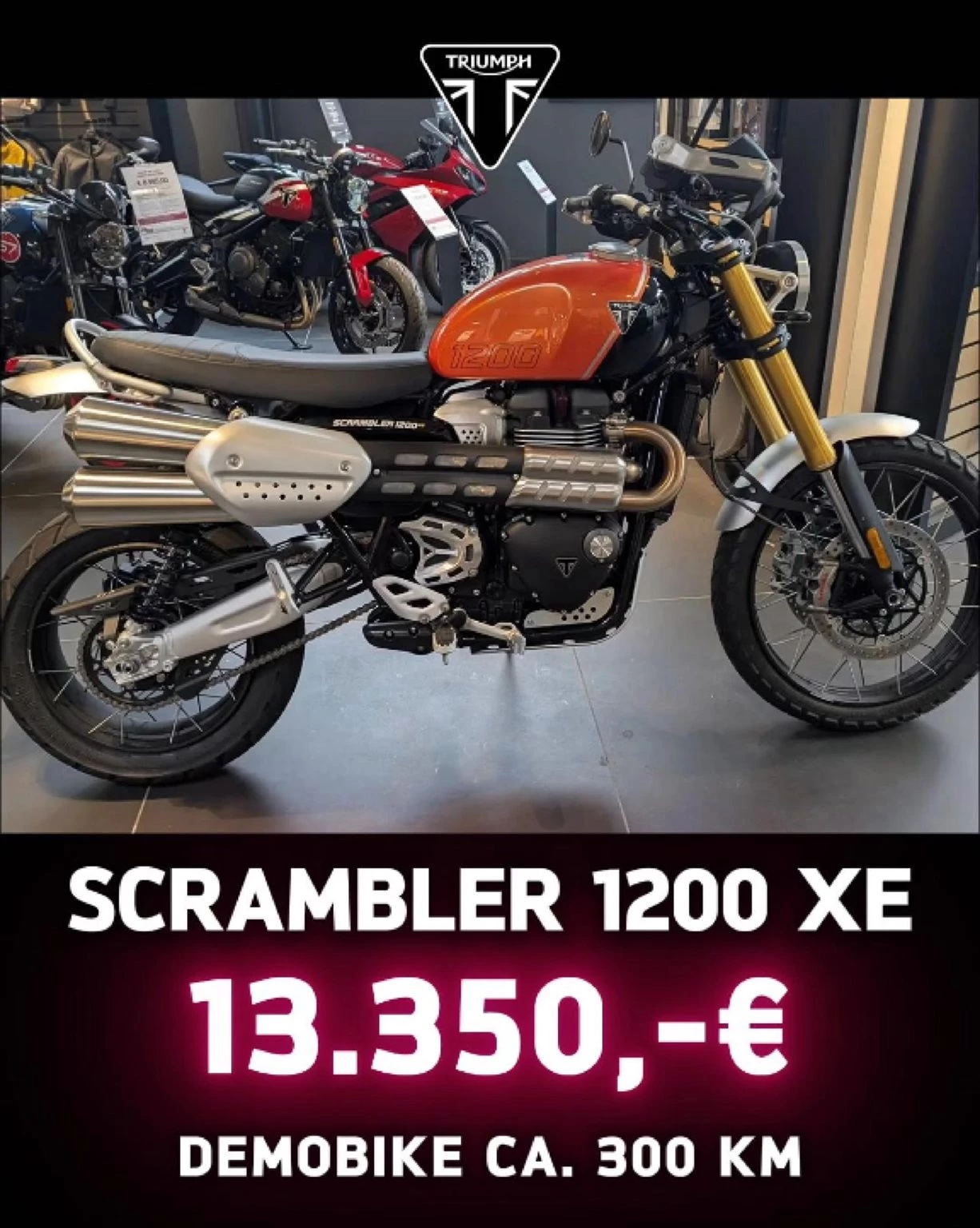 Vorschaubild für Post - Demobikes zu günstigen Konditionen - z.B. Scrambler 1200 XE für nur 13.350€

Triumph Wuppertal
Unterstraße 18, 42107 Wuppertal
Telefon: 0202 2449661