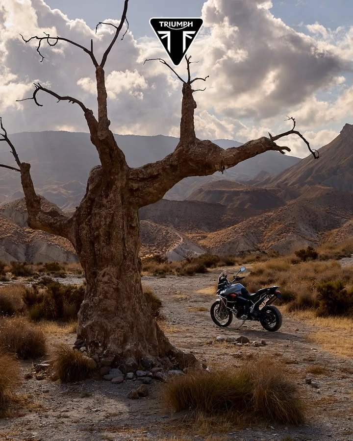 Vorschaubild für Post - Wann wusstest du, dass du ein Biker bist?

Gab es einen Schlüsselmoment?

Mit der Tiger 900 Desert kannst du neue Erinnerungen schaffen! 😎🤝

Probefahren, Beratung und Verkauf bei Triumph Wuppertal in der Unterstraße 18-28
42107 Wuppertal oder unter www.triumph-wuppertal.de

#triumphmotorcycle #bikerlife #triumphdeutschland #Tiger900desert