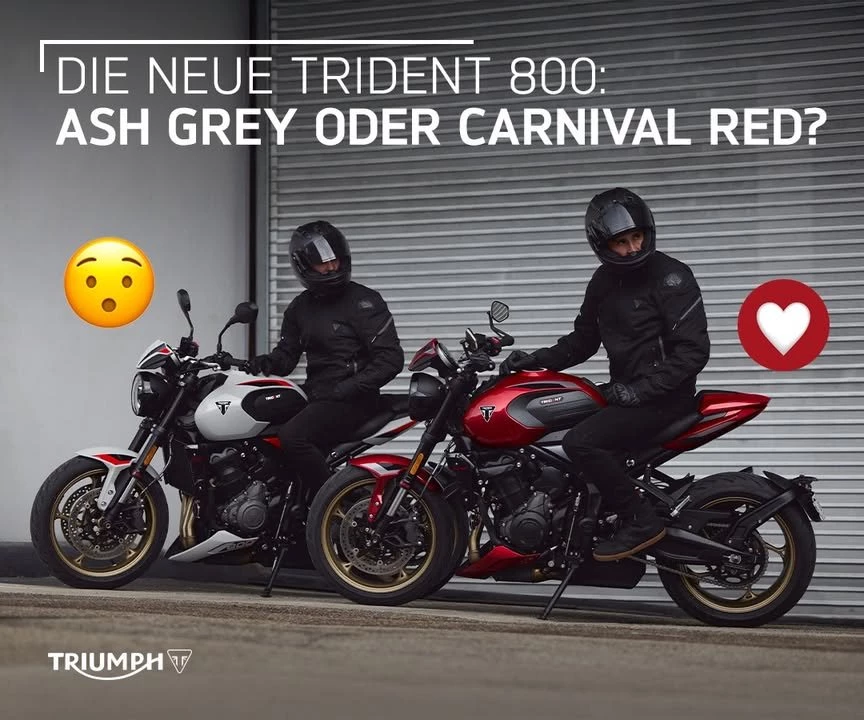 Vorschaubild für Post - Für welche entscheidest du dich?

Besonderes Highlight aller Farbvarianten: Die eleganten Gussräder in Gold!⁣
Da darf man ruhig mal ins Schwärmen geraten...⁣
⁣
Jetzt bei uns vorbestellbar!
>> https://www.triumph-gera.de <<