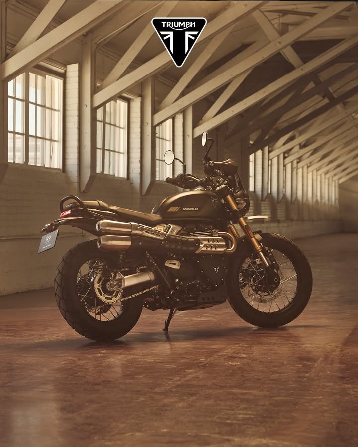 Vorschaubild für Post - Was fühlst du, wenn du im Winter dein Bike siehst?

Kribbelt es im ganzen Körper? Schreibt es uns in die Kommentare 👇 

#triumphmotorcycle #vorfreude #bikerlife #triumphdeutschland