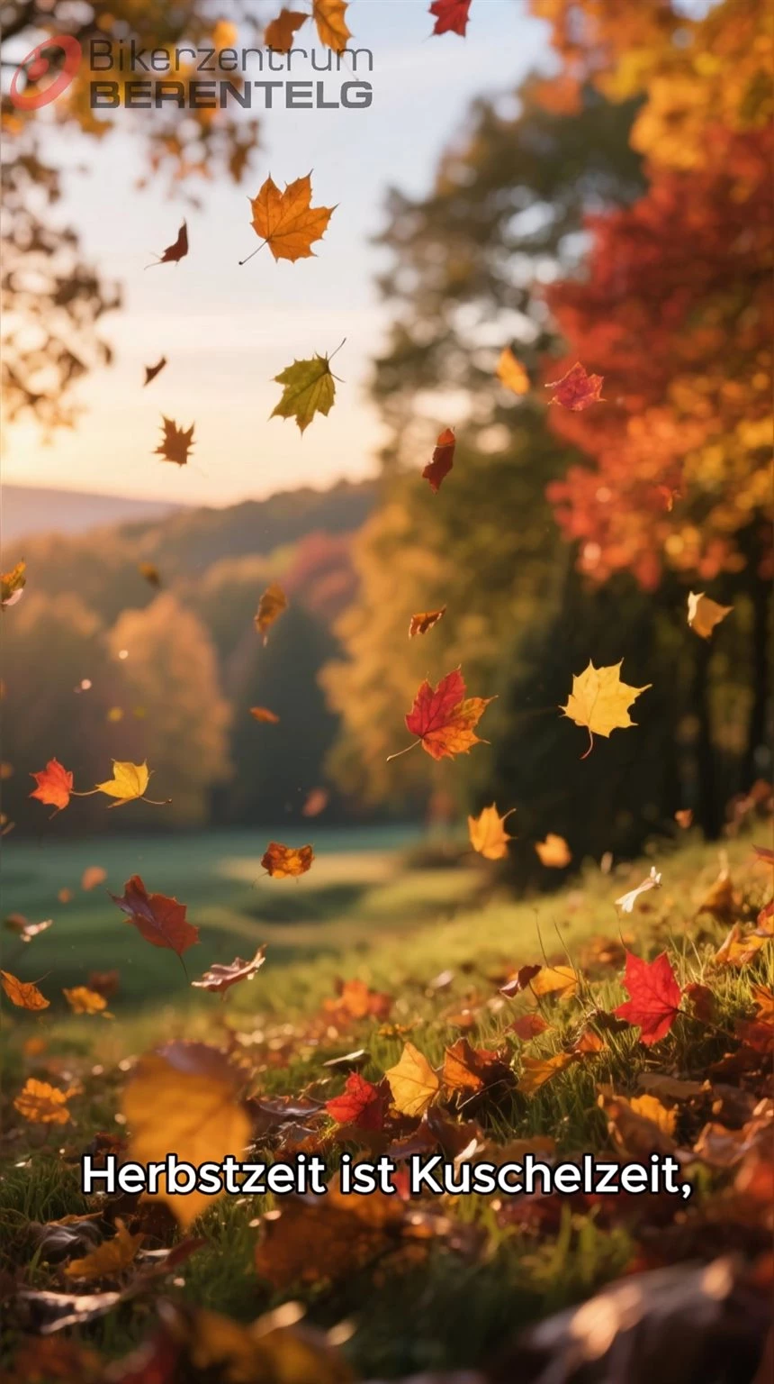Vorschaubild für Post - 💡 Licht an – Sicherheit vor!

Gerade im Herbst wird’s früher dunkel – und gute Sicht ist jetzt besonders wichtig.
Check regelmäßig dein Licht:
👉 Scheinwerfer
👉 Rücklicht
👉 Bremslicht
👉 Blinker

So bist du nicht nur sichtbar, sondern auch sicher unterwegs.
Denn sehen und gesehen werden kann im Straßenverkehr den Unterschied machen! ✨

Ist was kaputt? Dann komm doch in unserer Werkstatt vorbei 😉

#Motorrad #BikerTipps #Sicherheit #HerbstTour #Motorradfahren #BikerzentrumBerentelg #Motorradliebe #bikelove #bikerzentrumberentelg #berentelg #onroad #biker #bikedaily #meppen #bikerlife