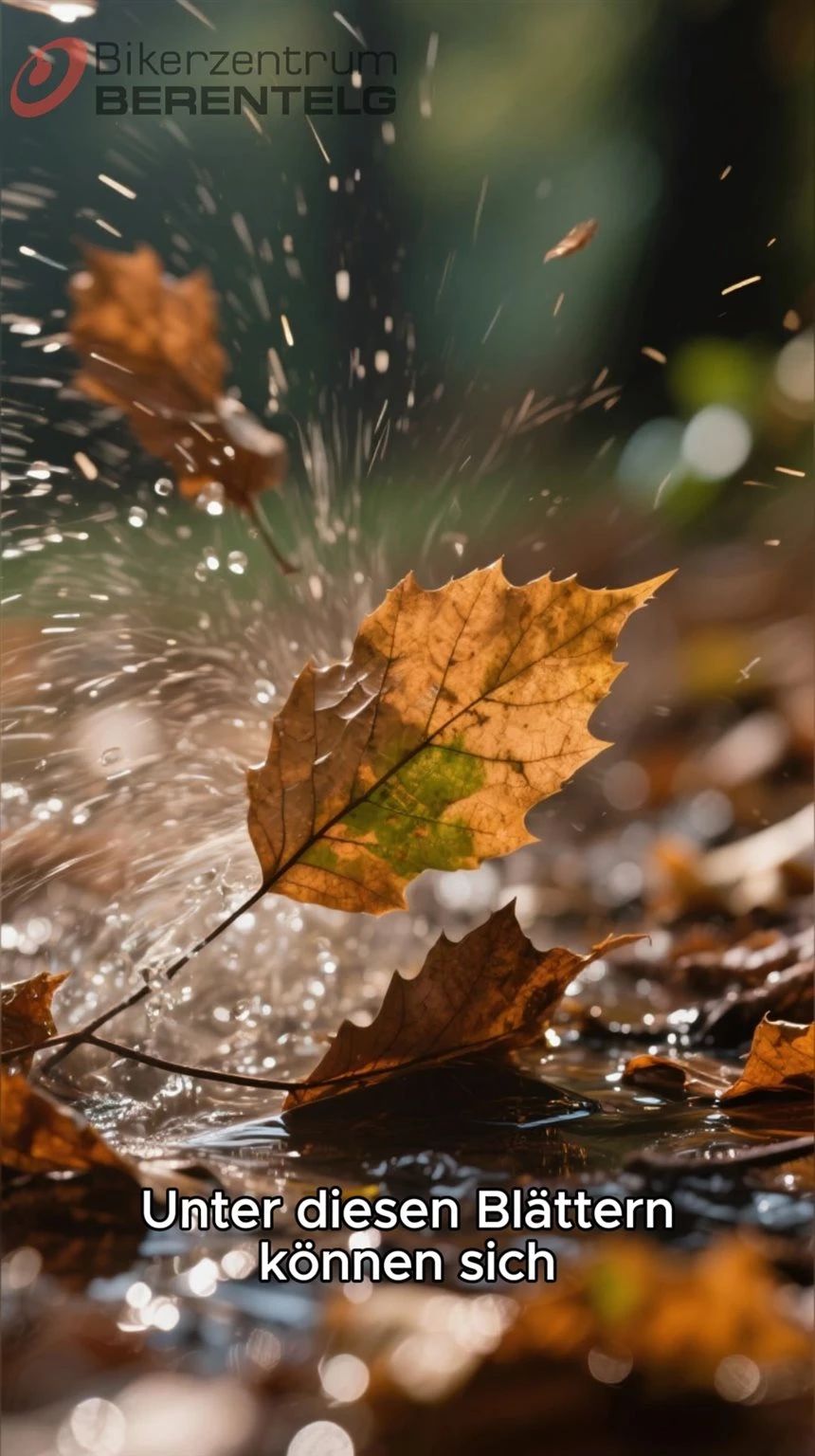 Vorschaubild für Post - 🍁 Mythos der Woche: „Laub ist harmlos, wenn’s trocken ist.“

❌ Falsch gedacht! Auch trockenes Laub kann Staub, Sand oder Öl enthalten – und wird in Kurven schnell zur Rutschpartie. 🌀

✅ Besser: Ruhig und gleichmäßig durchrollen, nicht stark bremsen oder beschleunigen.
So bleibst du sicher – auch im goldenen Herbst! 🍂🏍️

#MythosDerWoche #MotorradTipps #HerbstRide #SicherFahren #BikerLife #MotorradMythen #Emsland #Meppen #bikerzentrumberentelg
