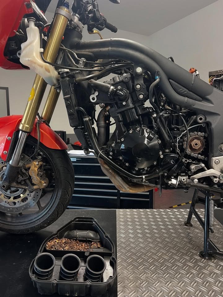 Vorschaubild für Post - Drum macht es wirklich Sinn auch bei älteren Modellen eine große Inspektion zu machen ! Man weis nie was man findet 😎 #triumphsaarbrücken #triumphsaarland #saarbrücken #saarland
