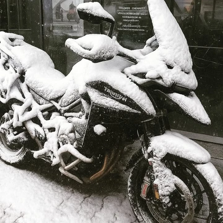 Vorschaubild für Post - Für alle, die nicht wollen, dass ihr Motorrad im Winter nicht frieren muß - denkt an die Wintereinlagerung!
Bei uns ab sofort möglich.

#triumphchemnitz
#triumphteamchemnitz 
#triumphmotorcycles 
#triumphdeutschland 
#fortheride