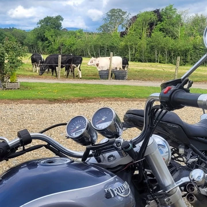 Vorschaubild für Post - Das war der Plan der drei Chemnitzer Biker Micha, Kevin und Steini:

Die dicke Triumph Rocket III gemeinsam zu einem heimatlichen Besuch ins britische Motorradwerk nach Hinckley bringen - über die französische Normandie, quer über die irische Insel und England. Warum das nicht ganz geklappt hat, die Tour trotzdem zu den schönsten der letzten Jahre zählt und Micha am Ende noch zu seinem ersten Flug überhaupt gekommen ist, erzählt dieser Vortrag.

Am 28.11.2025, Start 19.°° Uhr in den Räumen von Triumph Chemnitz.
#triumphchemnitz
#triumphteamchemnitz
#triumphmotorcycles
#triumphgermany
#fortheride