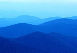 Gebrauchte Adler Favorit