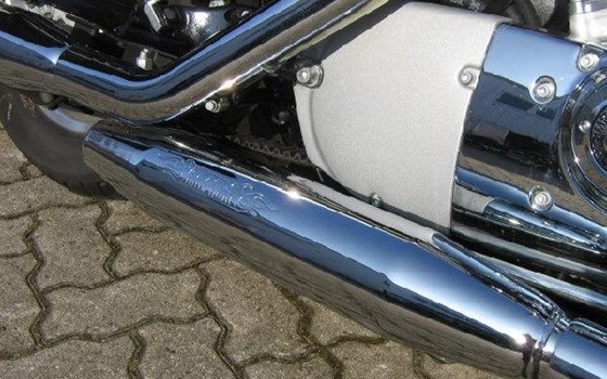 Gebrauchtmotorrad Harley-Davidson Sportster XL 883 C Custom - Bild 3