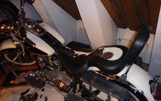 Gebrauchtmotorrad Harley-Davidson Softail Deluxe FLSTN - Bild 1 Gebrauchtmotorrad Harley-Davidson Softail Deluxe FLSTN - Bild 1
