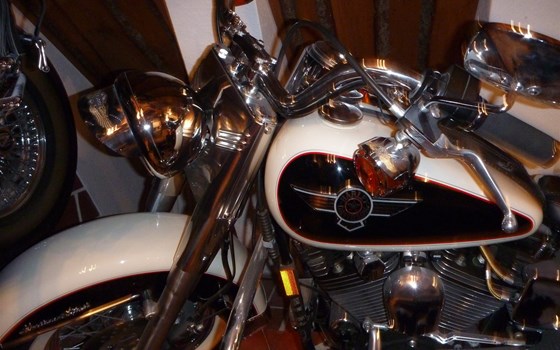 Gebrauchtmotorrad Harley-Davidson Softail Deluxe FLSTN - Bild 2 Gebrauchtmotorrad Harley-Davidson Softail Deluxe FLSTN - Bild 2