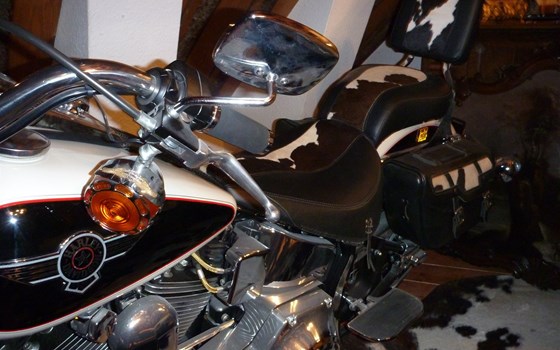 Gebrauchtmotorrad Harley-Davidson Softail Deluxe FLSTN - Bild 4 Gebrauchtmotorrad Harley-Davidson Softail Deluxe FLSTN - Bild 4