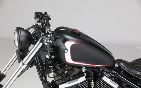 Offerta Kawasaki VN 800 - Immagine 10