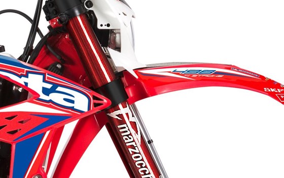 Gebrauchtmotorrad Beta RR 250 Racing - Bild 10