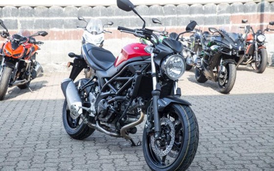 Neufahrzeug Suzuki SV650 - Bild 2