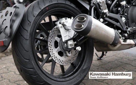 Neufahrzeug Benelli Leoncino 500 - Bild 7