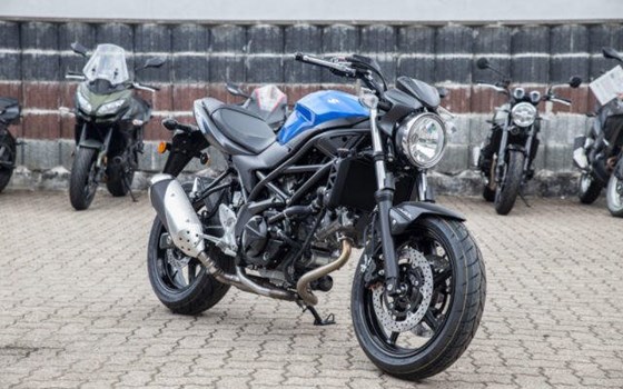 Neufahrzeug Suzuki SV650 - Bild 2