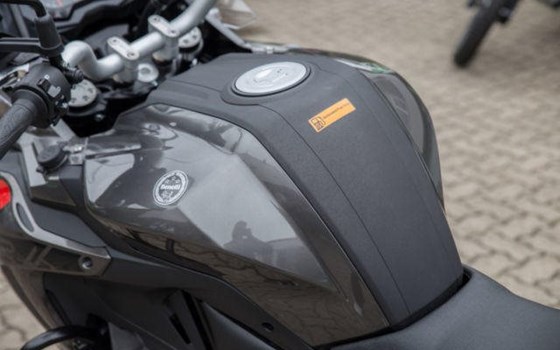 Neufahrzeug Benelli TRK 502 - Bild 9