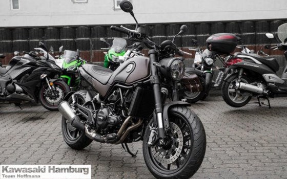 Neufahrzeug Benelli Leoncino 500 - Bild 2