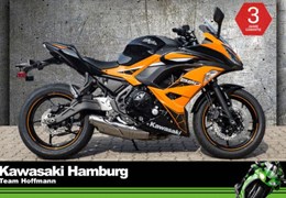 Neumotorrad Kawasaki Ninja 650