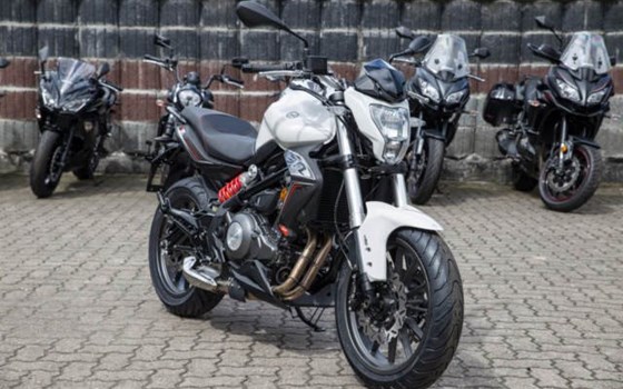 Neufahrzeug Benelli BN 302 - Bild 3