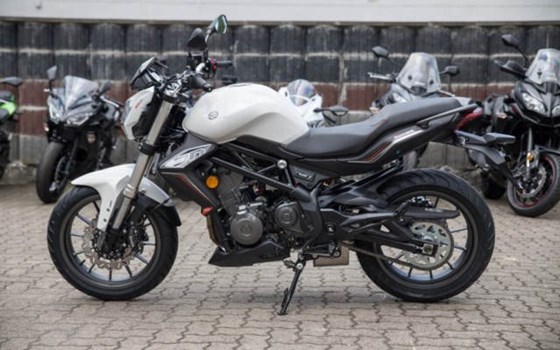 Neufahrzeug Benelli BN 302 - Bild 4