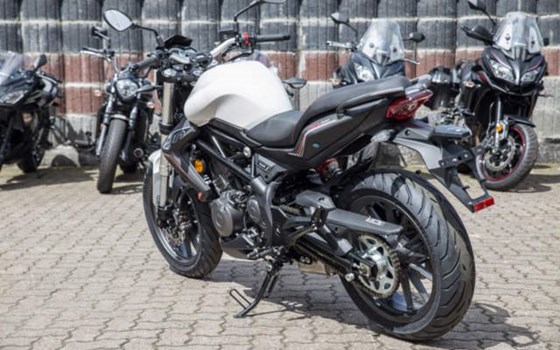 Neufahrzeug Benelli BN 302 - Bild 5