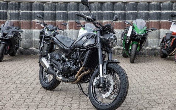 Neufahrzeug Benelli Leoncino 500 - Bild 2