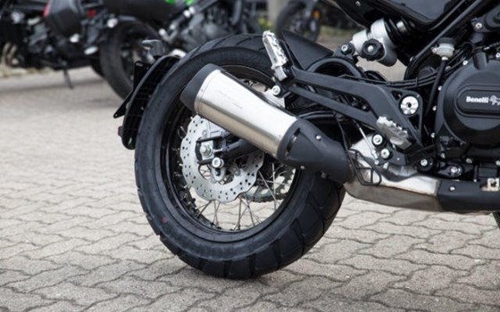 Neufahrzeug Benelli Leoncino 500 - Bild 6