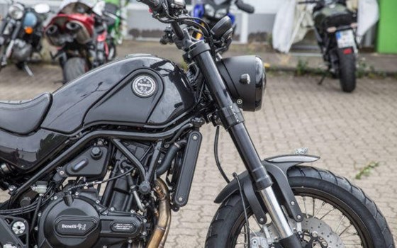 Neufahrzeug Benelli Leoncino 500 - Bild 7