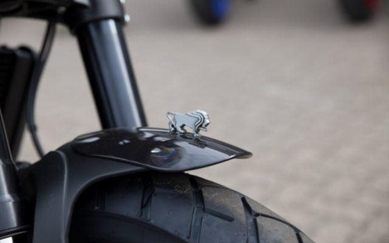 Neufahrzeug Benelli Leoncino 500 - Bild 8