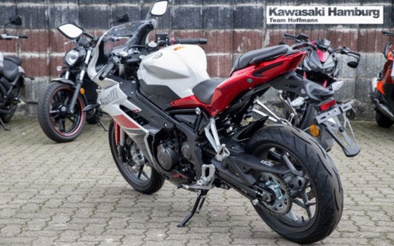 Gebrauchtmotorrad Benelli BN 302 - Bild 4