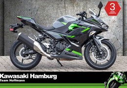 Neumotorrad Kawasaki Ninja 400