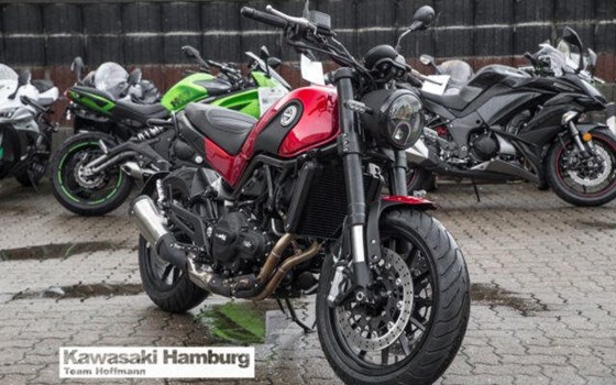 Neufahrzeug Benelli Leoncino 500 - Bild 2