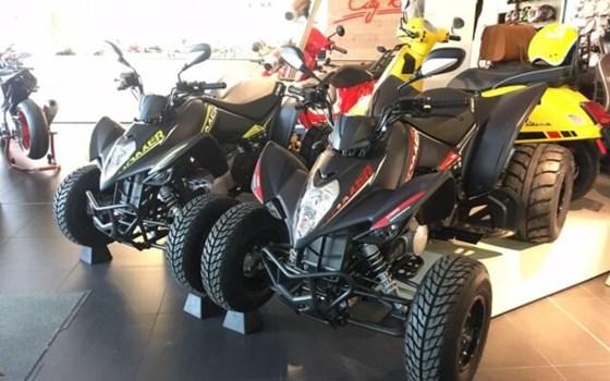 Neufahrzeug Kymco Maxxer 300 - Bild 11