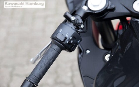 Neufahrzeug Benelli BN 302 - Bild 10