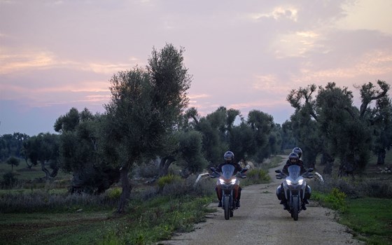 Neufahrzeug Ducati Multistrada 950 S - Bild 17