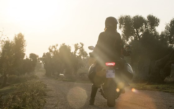 Neufahrzeug Ducati Multistrada 950 S - Bild 18