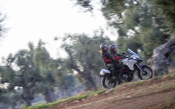 Neufahrzeug Ducati Multistrada 950 S - Bild 19