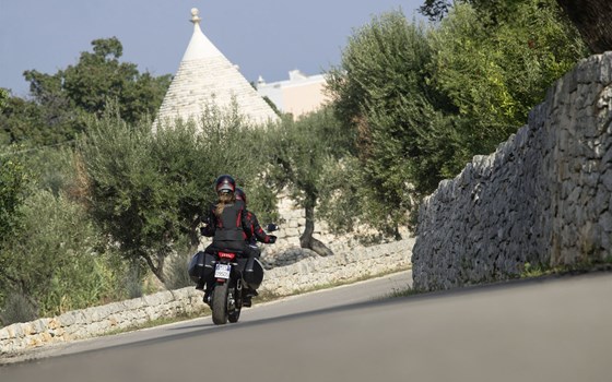 Neufahrzeug Ducati Multistrada 950 S - Bild 8