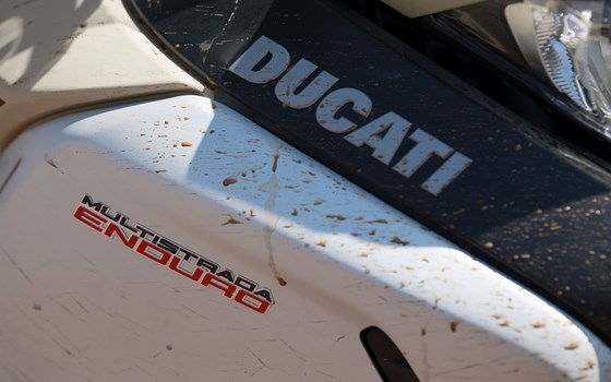 Neufahrzeug Ducati Multistrada 1260 Enduro - Bild 24