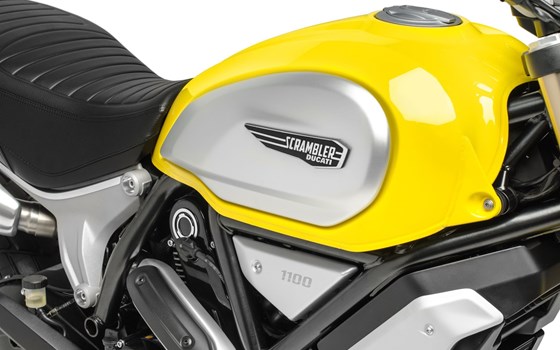 Neufahrzeug Ducati Scrambler 1100 - Bild 11