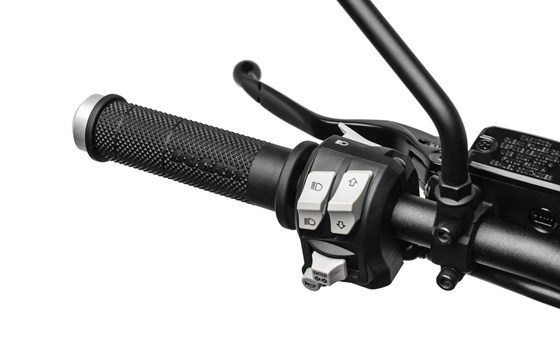 Neufahrzeug Ducati Scrambler 1100 Sport - Bild 13