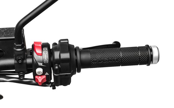 Neufahrzeug Ducati Scrambler 1100 Sport - Bild 14